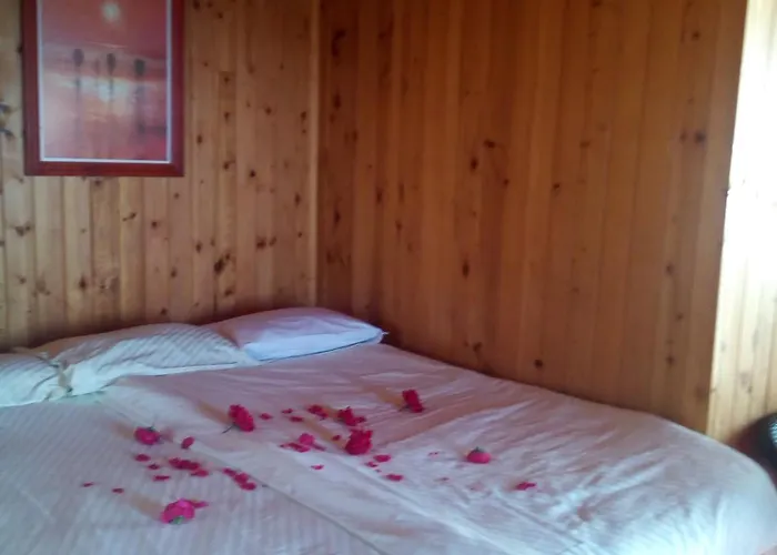 Nirvana * Варна